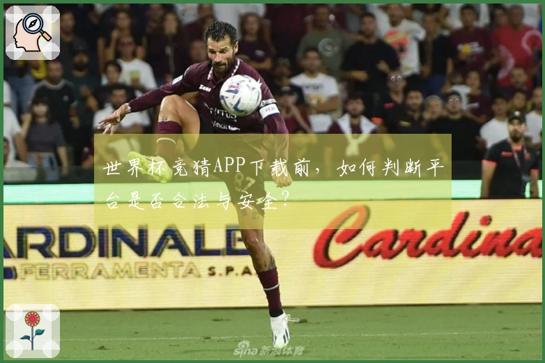 世界杯竞猜APP下载前，如何判断平台是否合法与安全？