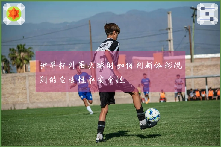世界杯外围买球时如何判断体彩规则的合法性和安全性