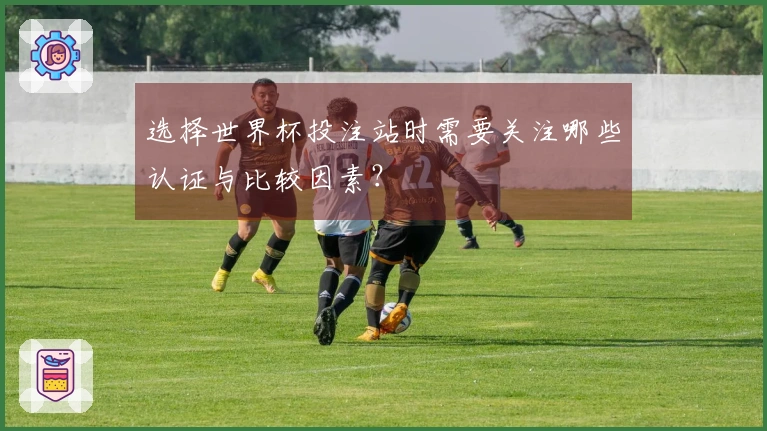 选择世界杯投注站时需要关注哪些认证与比较因素？