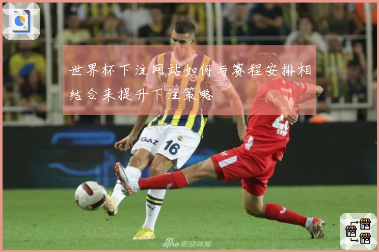 世界杯下注网站如何与赛程安排相结合来提升下注策略