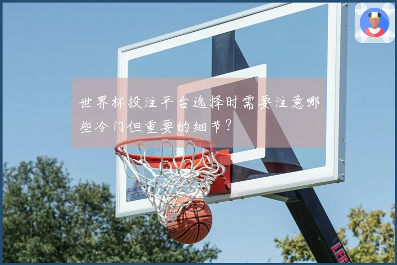 世界杯投注平台选择时需要注意哪些冷门但重要的细节？