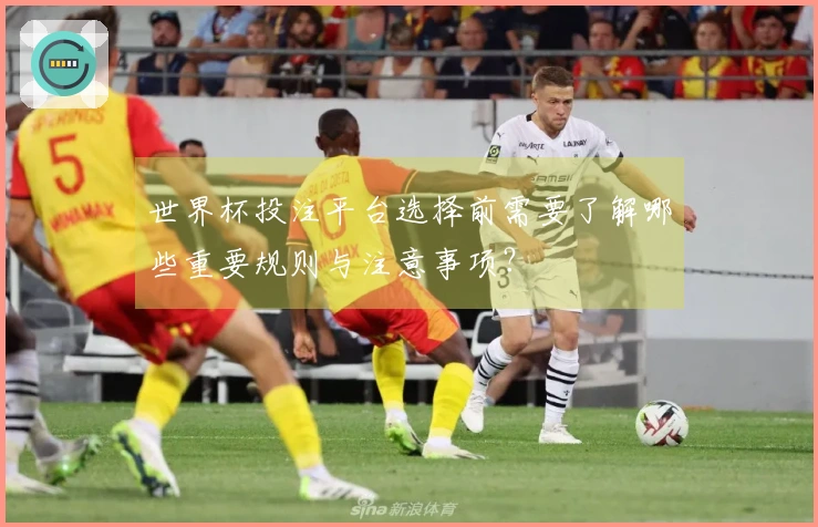 世界杯投注平台选择前需要了解哪些重要规则与注意事项？