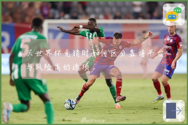 买世界杯竞猜时如何区分靠谱平台与风险高的选项