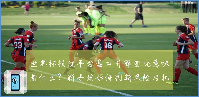 世界杯投注平台盘口升降变化意味着什么？新手该如何判断风险与机会