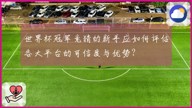 世界杯冠军竞猜的新手应如何评估各大平台的可信度与优势？