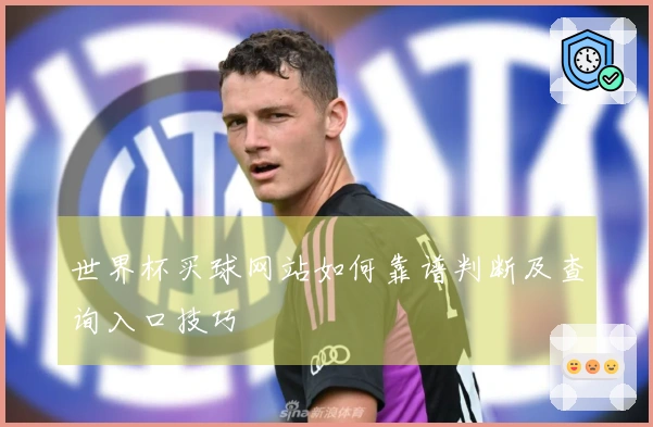 世界杯买球网站如何靠谱判断及查询入口技巧