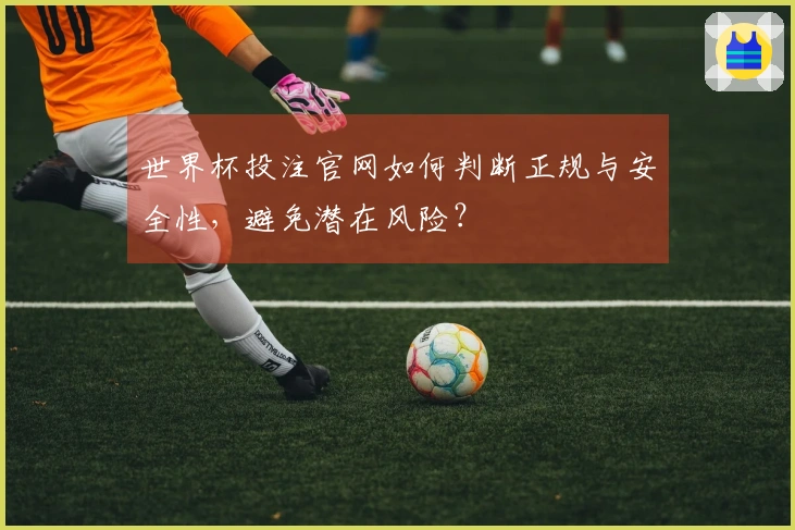 世界杯投注官网如何判断正规与安全性，避免潜在风险？