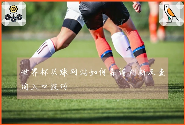 世界杯买球网站如何靠谱判断及查询入口技巧