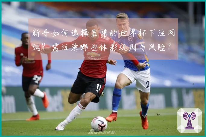 新手如何选择靠谱的世界杯下注网站？需注意哪些体彩规则与风险？