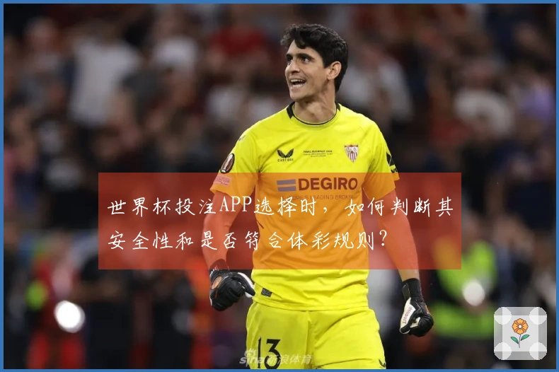 世界杯投注APP选择时，如何判断其安全性和是否符合体彩规则？