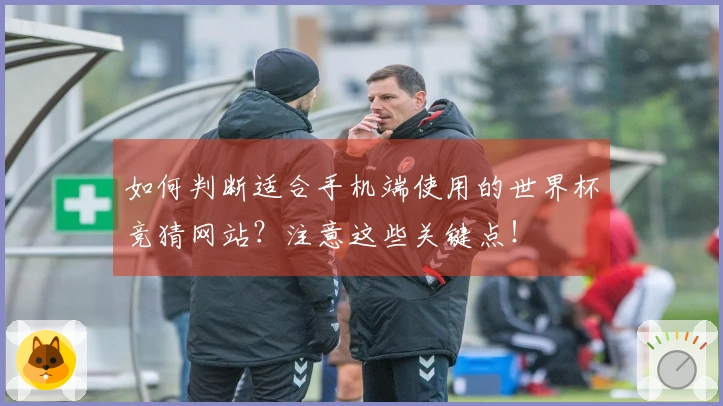 如何判断适合手机端使用的世界杯竞猜网站？注意这些关键点！