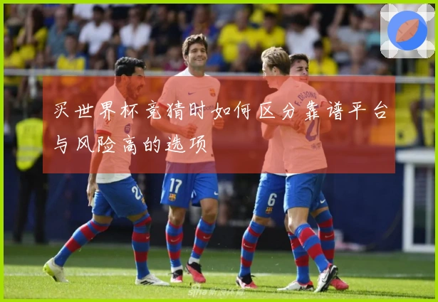买世界杯竞猜时如何区分靠谱平台与风险高的选项
