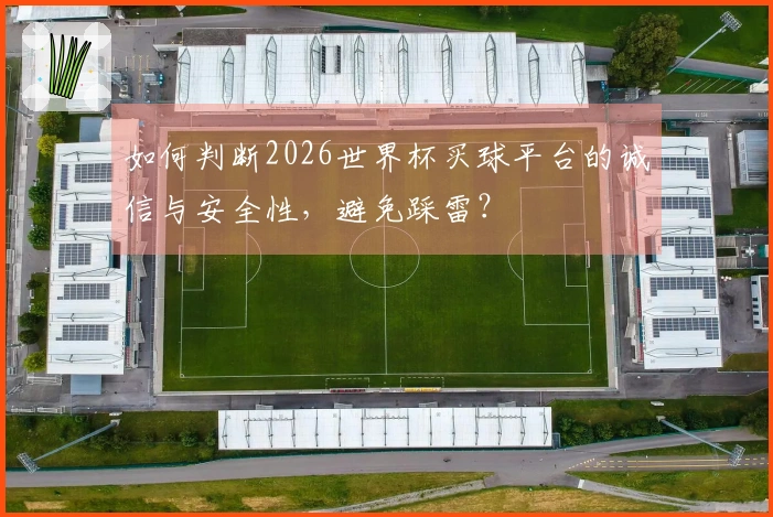 如何判断2026世界杯买球平台的诚信与安全性，避免踩雷？