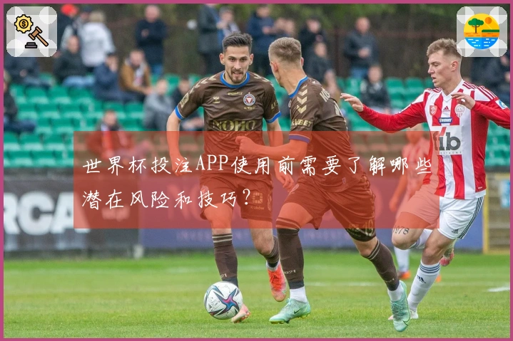 世界杯投注APP使用前需要了解哪些潜在风险和技巧？