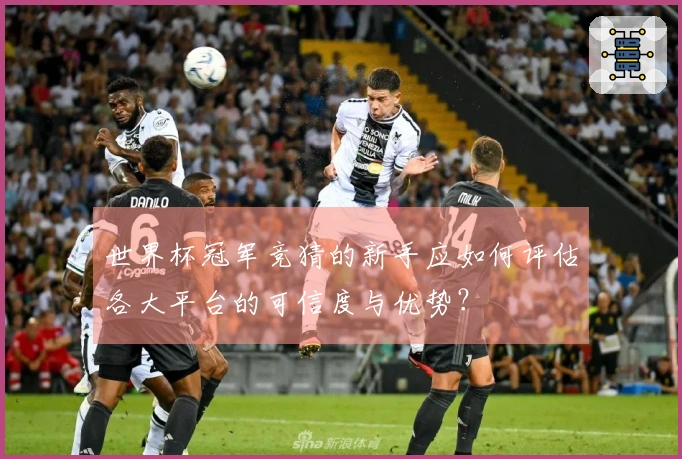 世界杯冠军竞猜的新手应如何评估各大平台的可信度与优势？