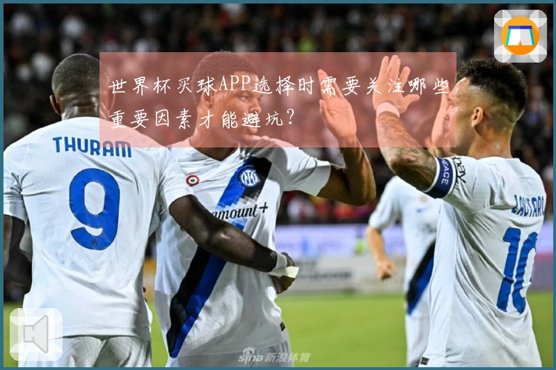 世界杯买球APP选择时需要关注哪些重要因素才能避坑？