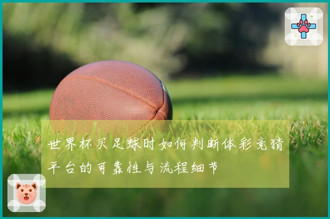 世界杯买足球时如何判断体彩竞猜平台的可靠性与流程细节