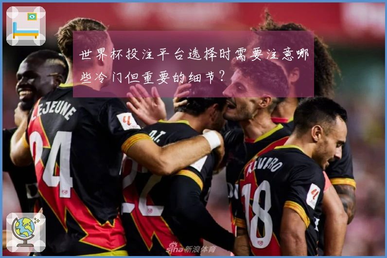 世界杯投注平台选择时需要注意哪些冷门但重要的细节？