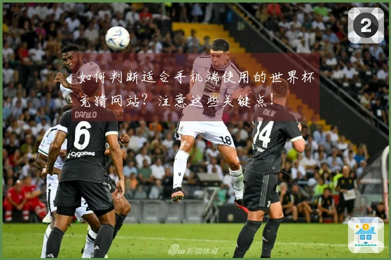 如何判断适合手机端使用的世界杯竞猜网站？注意这些关键点！