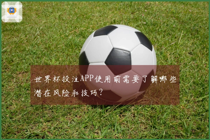 世界杯投注APP使用前需要了解哪些潜在风险和技巧？