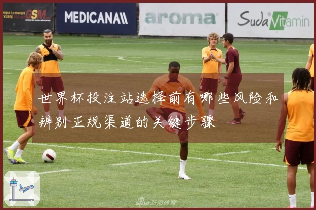 世界杯投注站选择前有哪些风险和辨别正规渠道的关键步骤