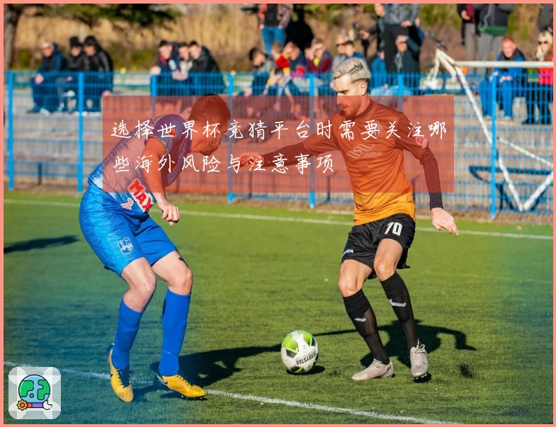 选择世界杯竞猜平台时需要关注哪些海外风险与注意事项