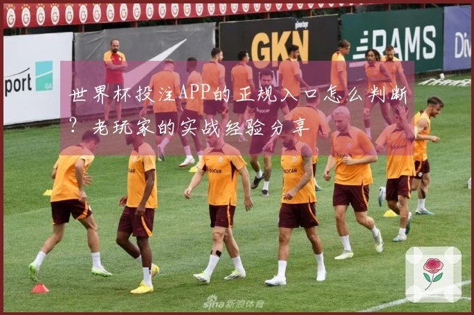 世界杯投注APP的正规入口怎么判断？老玩家的实战经验分享