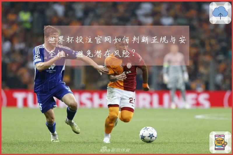 世界杯投注官网如何判断正规与安全性，避免潜在风险？
